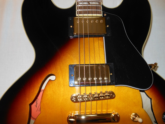 ES-345 Triburst Picture 13